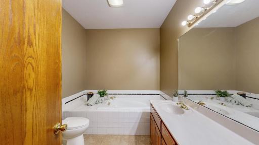 Luxury bath includes a jetted tub and separate shower and large vanity