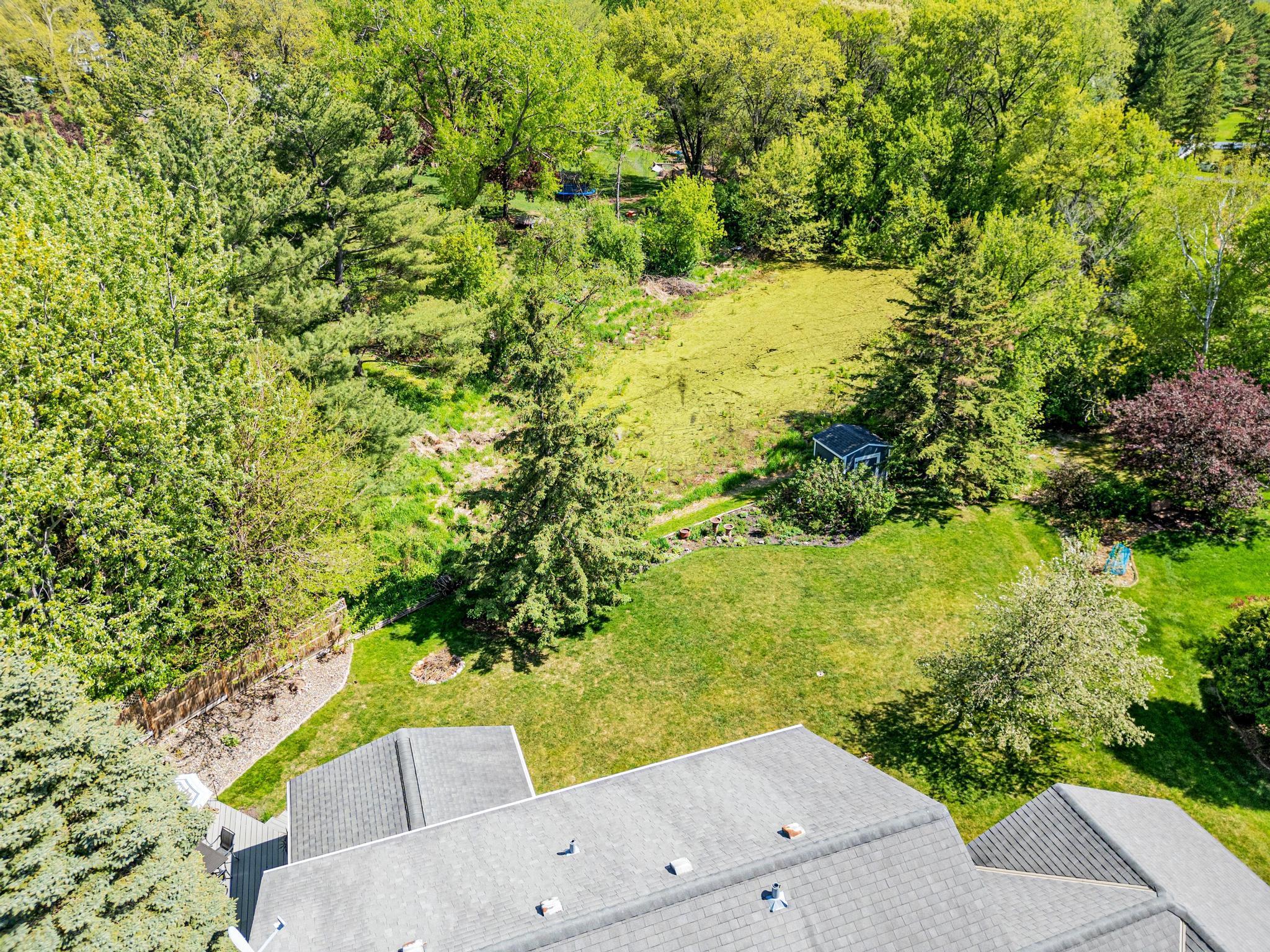 View of the pond and natural setting in the backyard.
