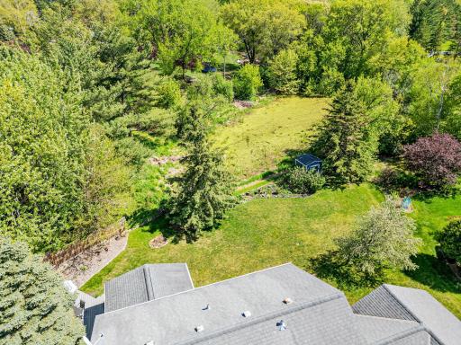 View of the pond and natural setting in the backyard.