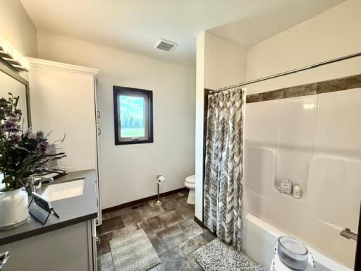 37037 337th Street, Redwood Falls, MN 56283