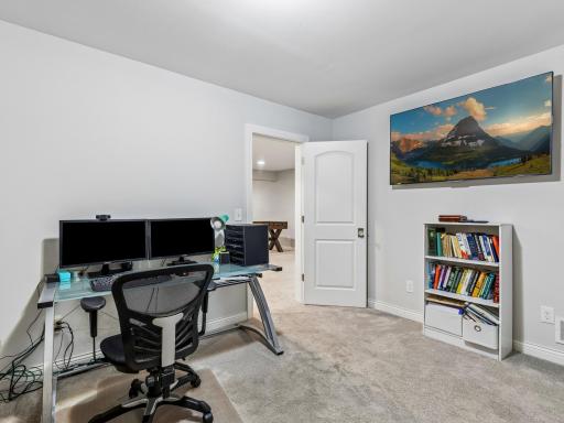 Lower level den could act as an office space or workout area