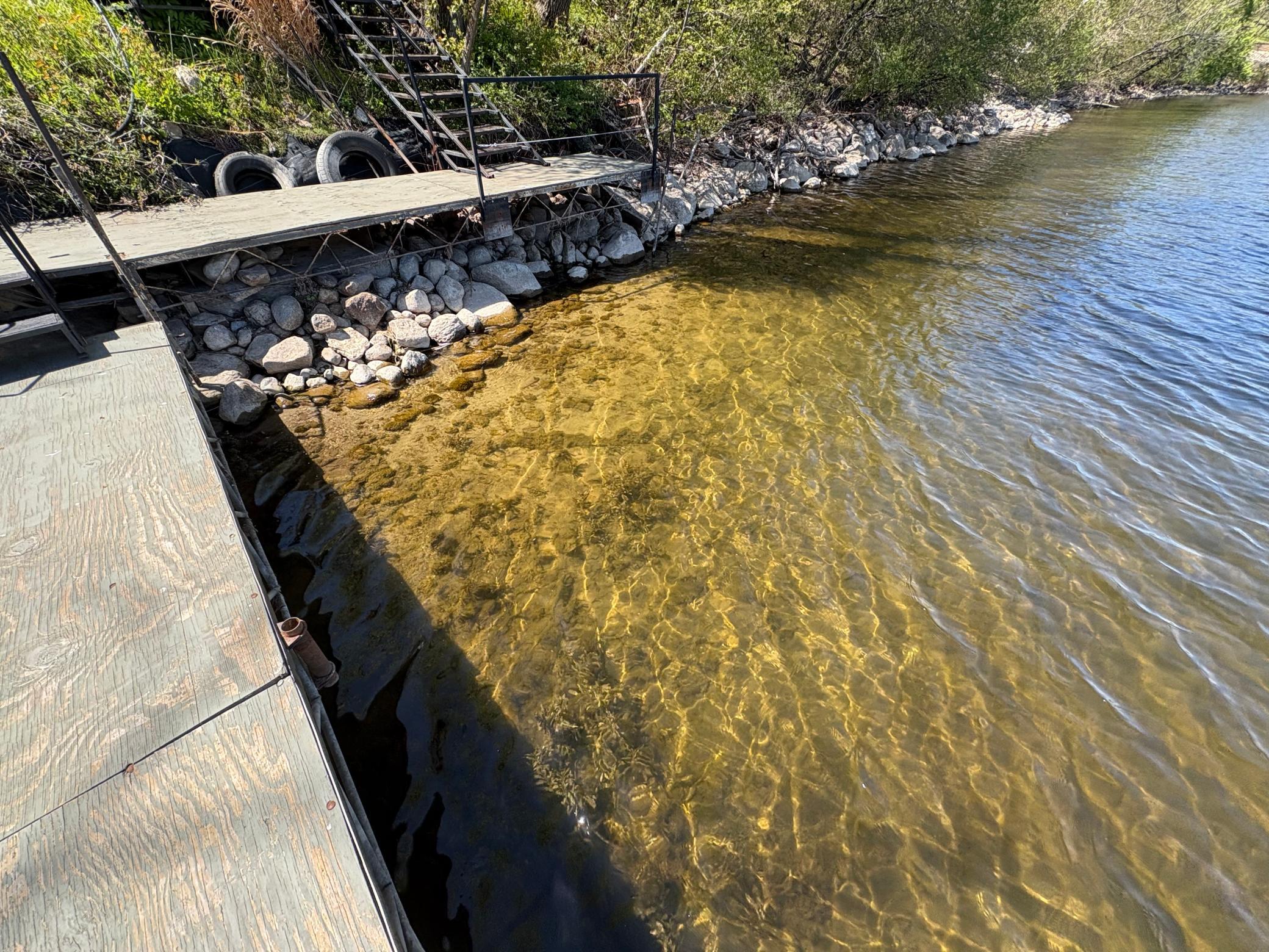 Sand bottom lakeshore