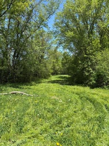 TBD Highway 55, Buffalo, MN 55313