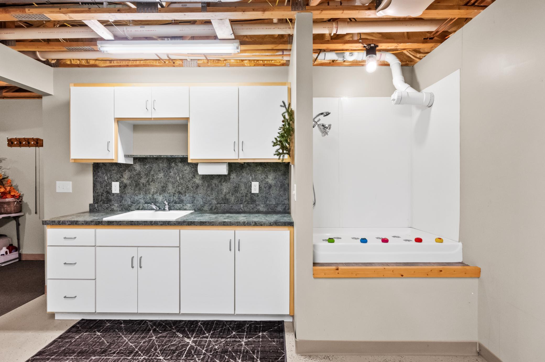Fish cleaning station and Dog Shower