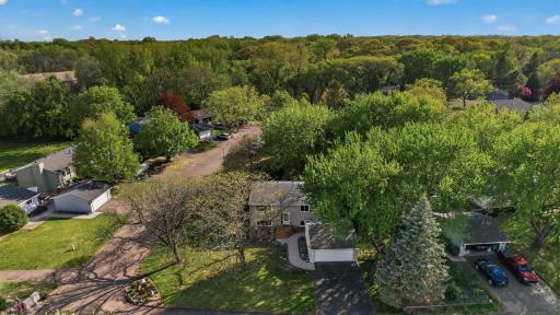 11501 Red Fox Drive, Osseo, MN 55369