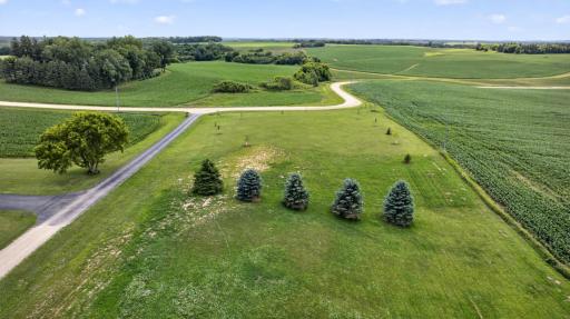 TBD County Road 85, Mazeppa, MN 55956