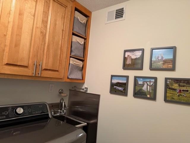 Fantastic laundry Room
