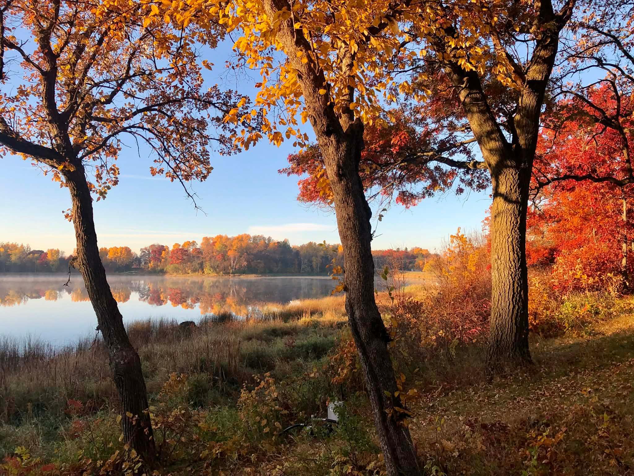 Every season has its own beauty from this property.