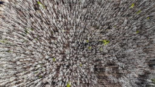 DJI_20260513171353_0427_D.JPG