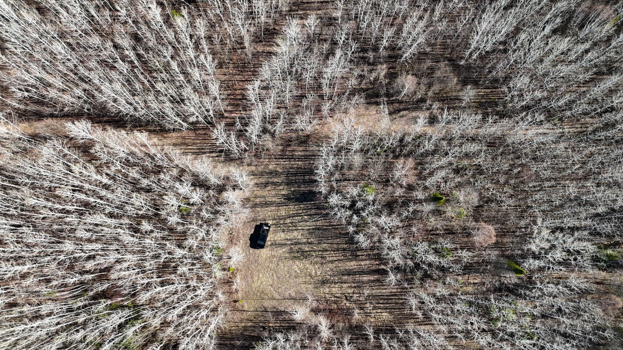 DJI_20260513171339_0424_D.JPG