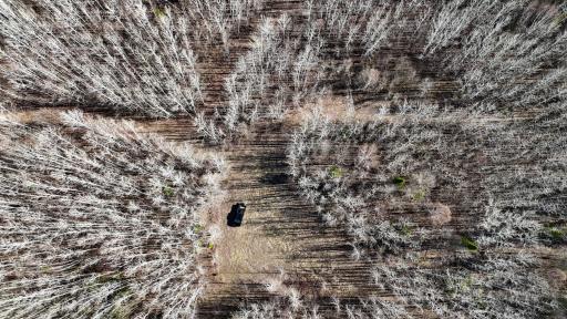 DJI_20260513171339_0424_D.JPG