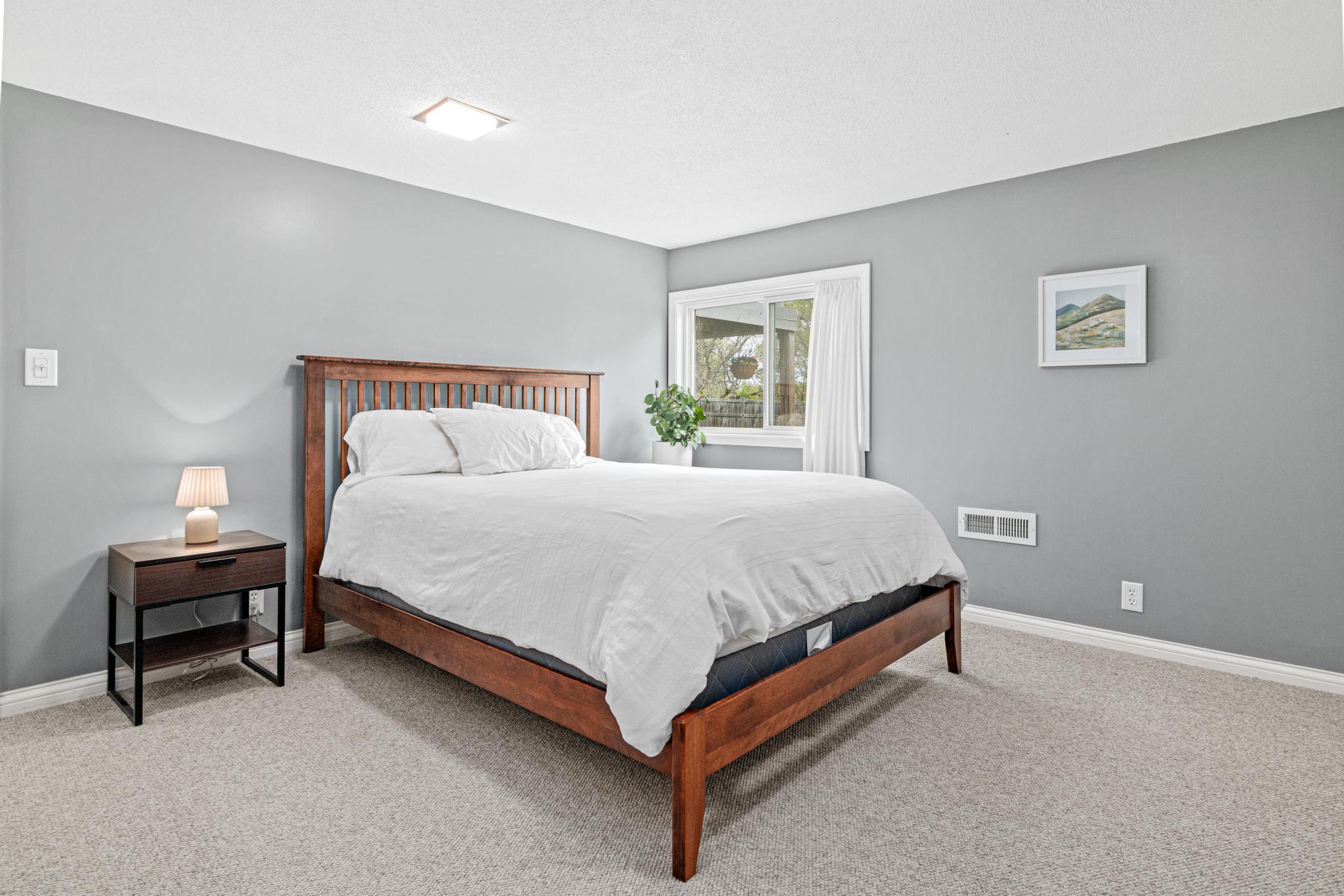 Basement Master Bedroom