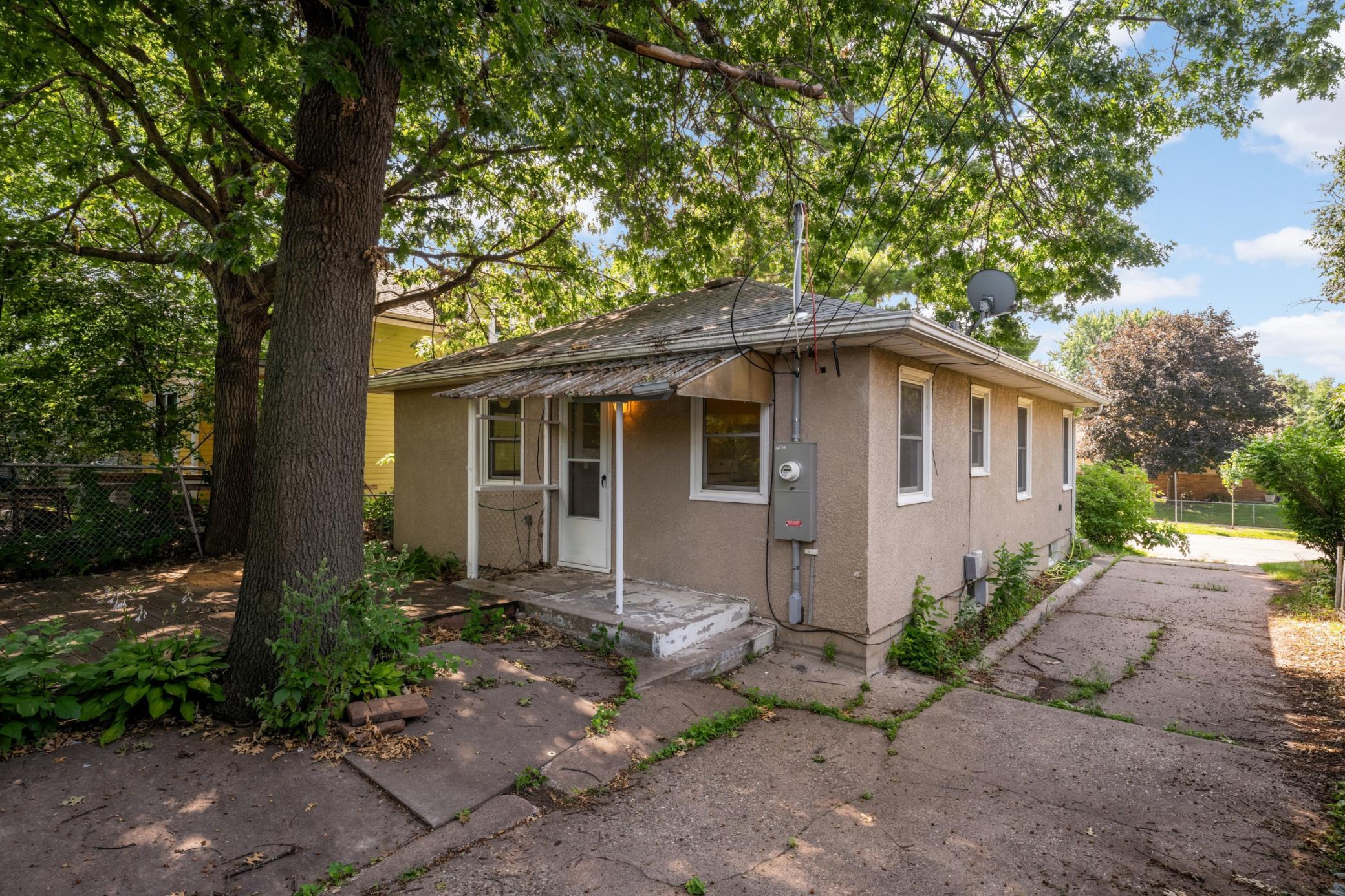 Shaded backyard covered with by mature tree canopy