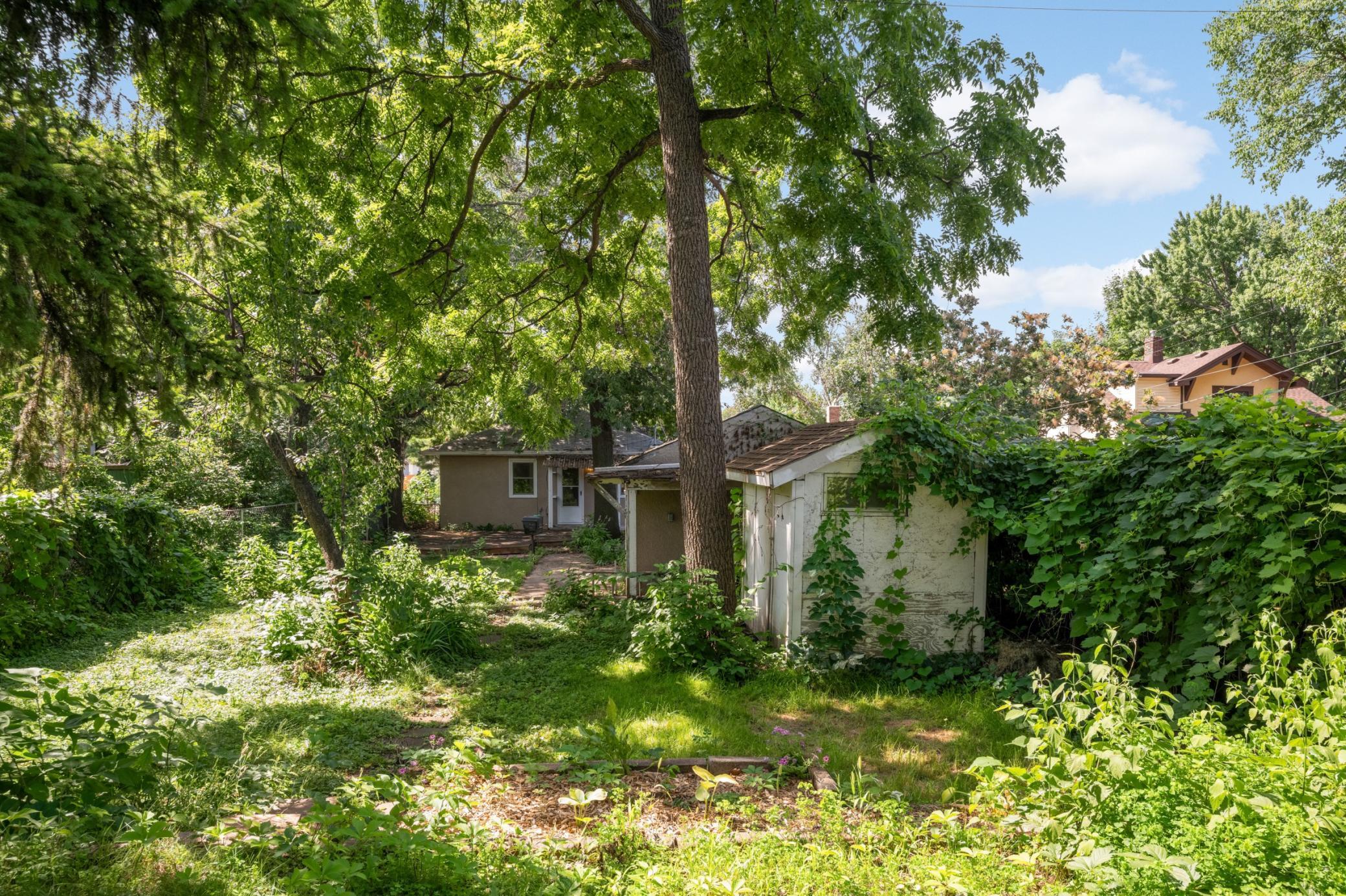 Large yard beats typical city lots