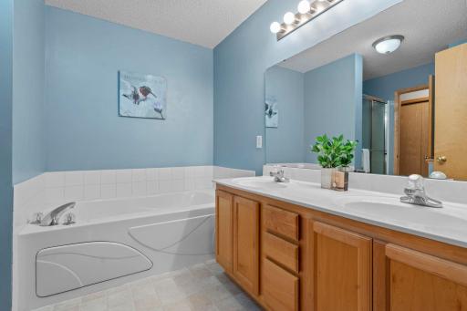 17620 69th Place N, Maple Grove, MN 55311