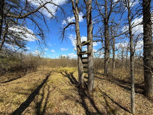 89225 Little Oak Lake Road, Kerrick, MN 55756