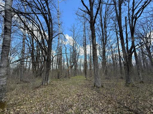 89225 Little Oak Lake Road, Kerrick, MN 55756