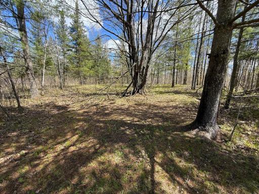 89225 Little Oak Lake Road, Kerrick, MN 55756