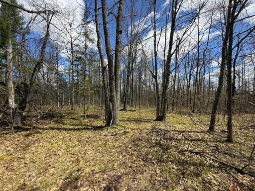 89225 Little Oak Lake Road, Kerrick, MN 55756