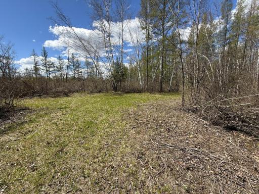 89225 Little Oak Lake Road, Kerrick, MN 55756