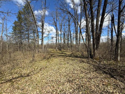 89225 Little Oak Lake Road, Kerrick, MN 55756