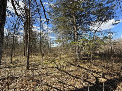 89225 Little Oak Lake Road, Kerrick, MN 55756