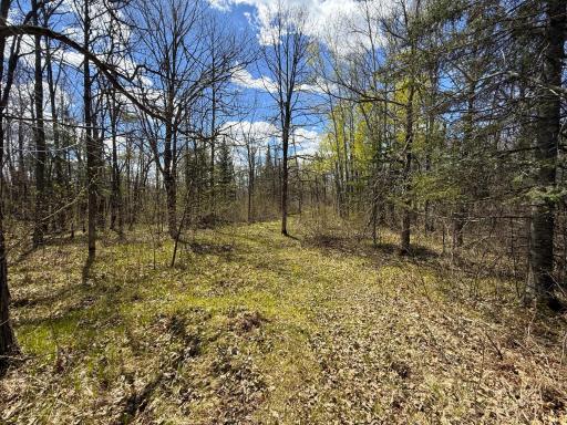 89225 Little Oak Lake Road, Kerrick, MN 55756