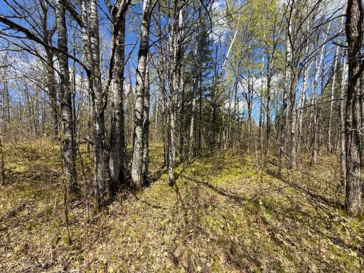 89225 Little Oak Lake Road, Kerrick, MN 55756