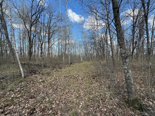 89225 Little Oak Lake Road, Kerrick, MN 55756