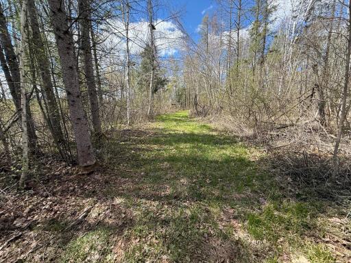 89225 Little Oak Lake Road, Kerrick, MN 55756