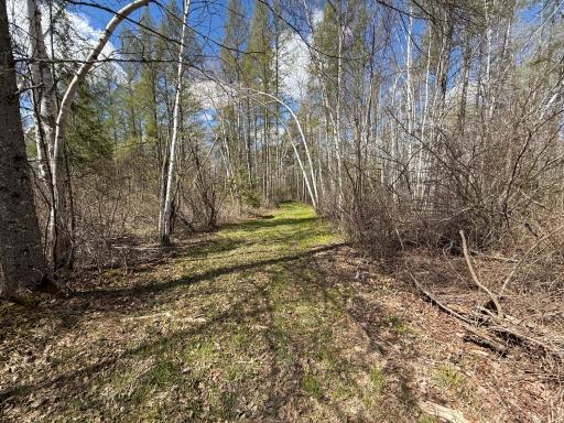89225 Little Oak Lake Road, Kerrick, MN 55756