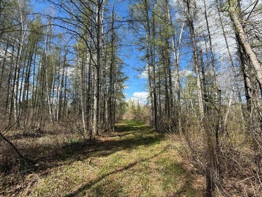 89225 Little Oak Lake Road, Kerrick, MN 55756