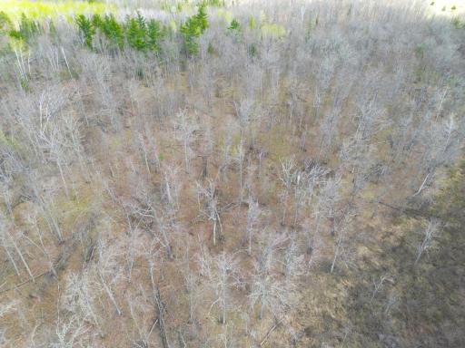 89225 Little Oak Lake Road, Kerrick, MN 55756