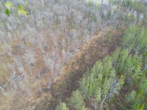 89225 Little Oak Lake Road, Kerrick, MN 55756