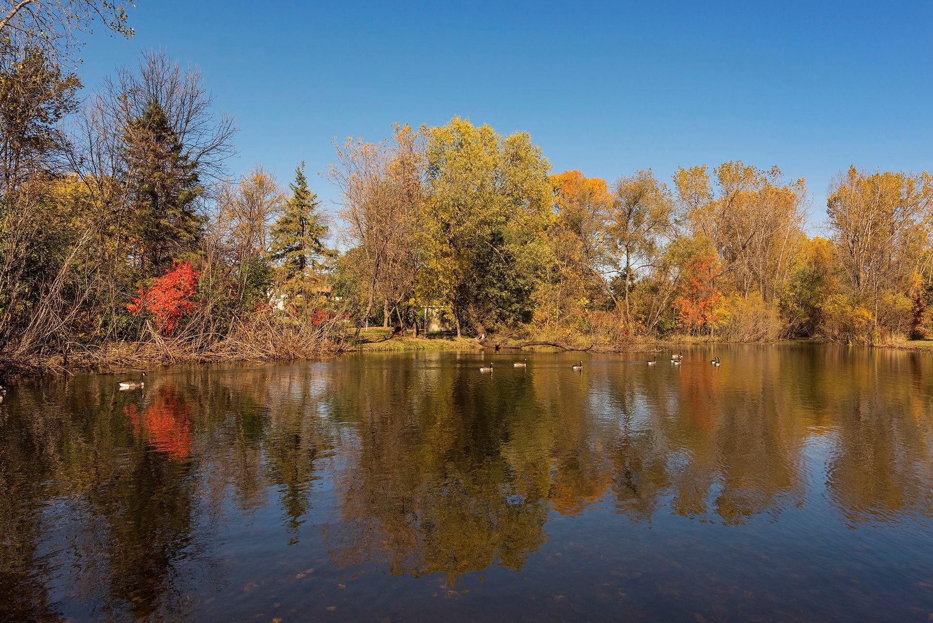 Maple Creek Park Pond