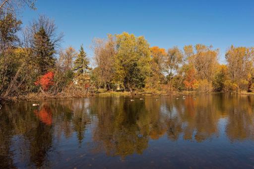 Maple Creek Park Pond