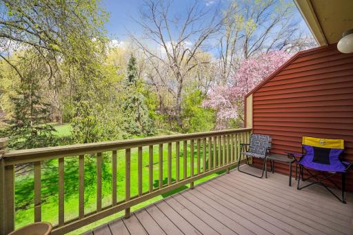 Deck View