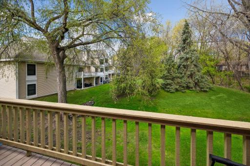 Deck View to Gorgeous Woods