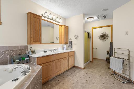Owner suite full Bath, soaker tub, walk-in shower, and separated toilet area