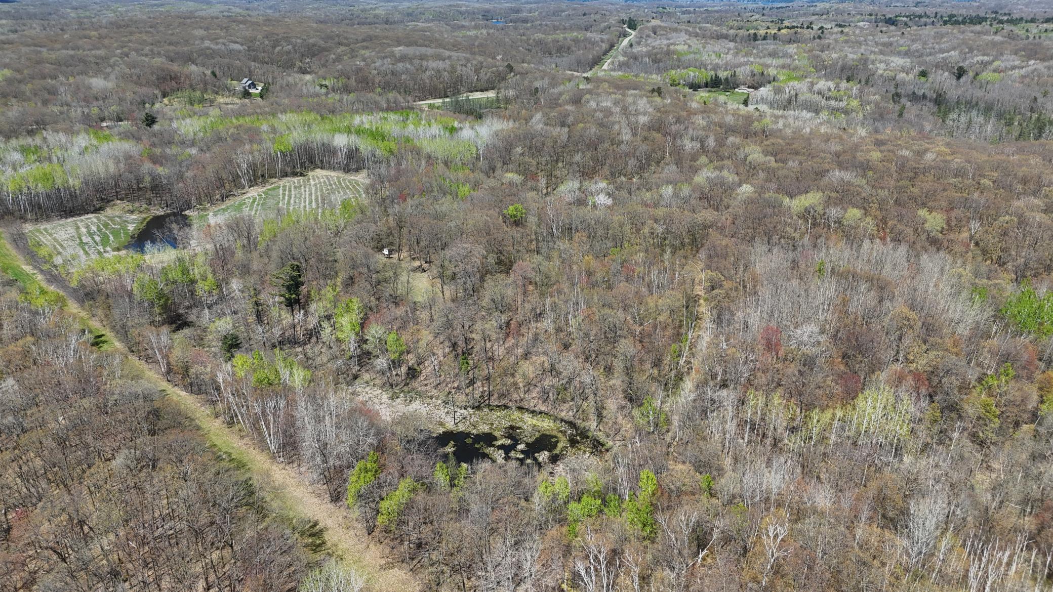 DJI_20260513135648_0079_D.JPG