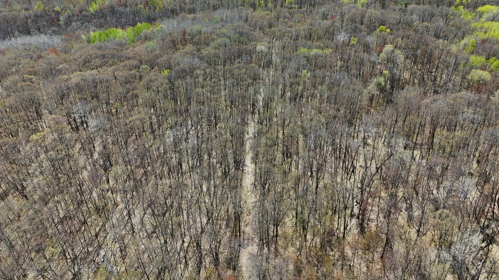 DJI_20260513135508_0076_D.JPG