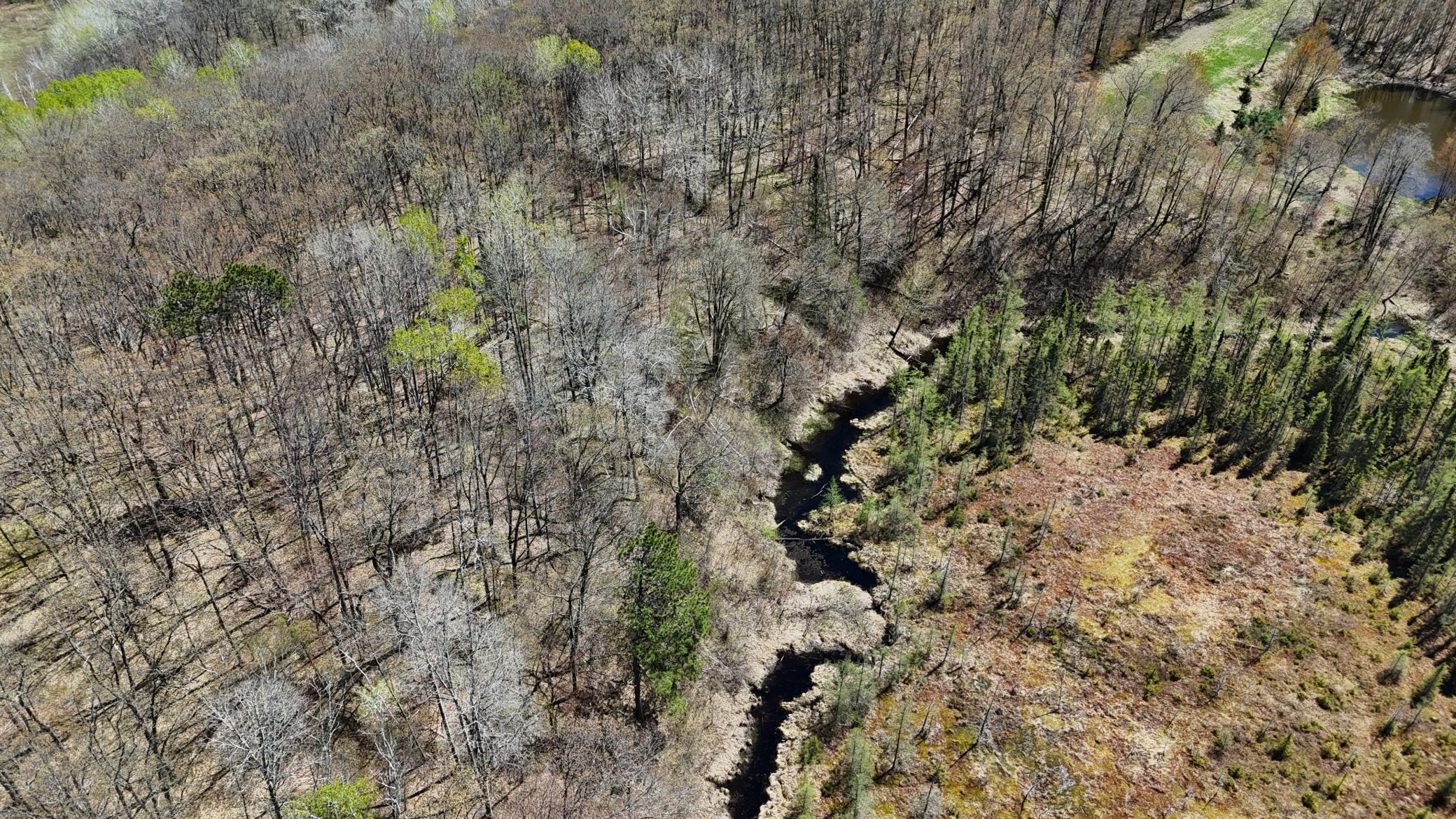DJI_20260513134549_0060_D.JPG