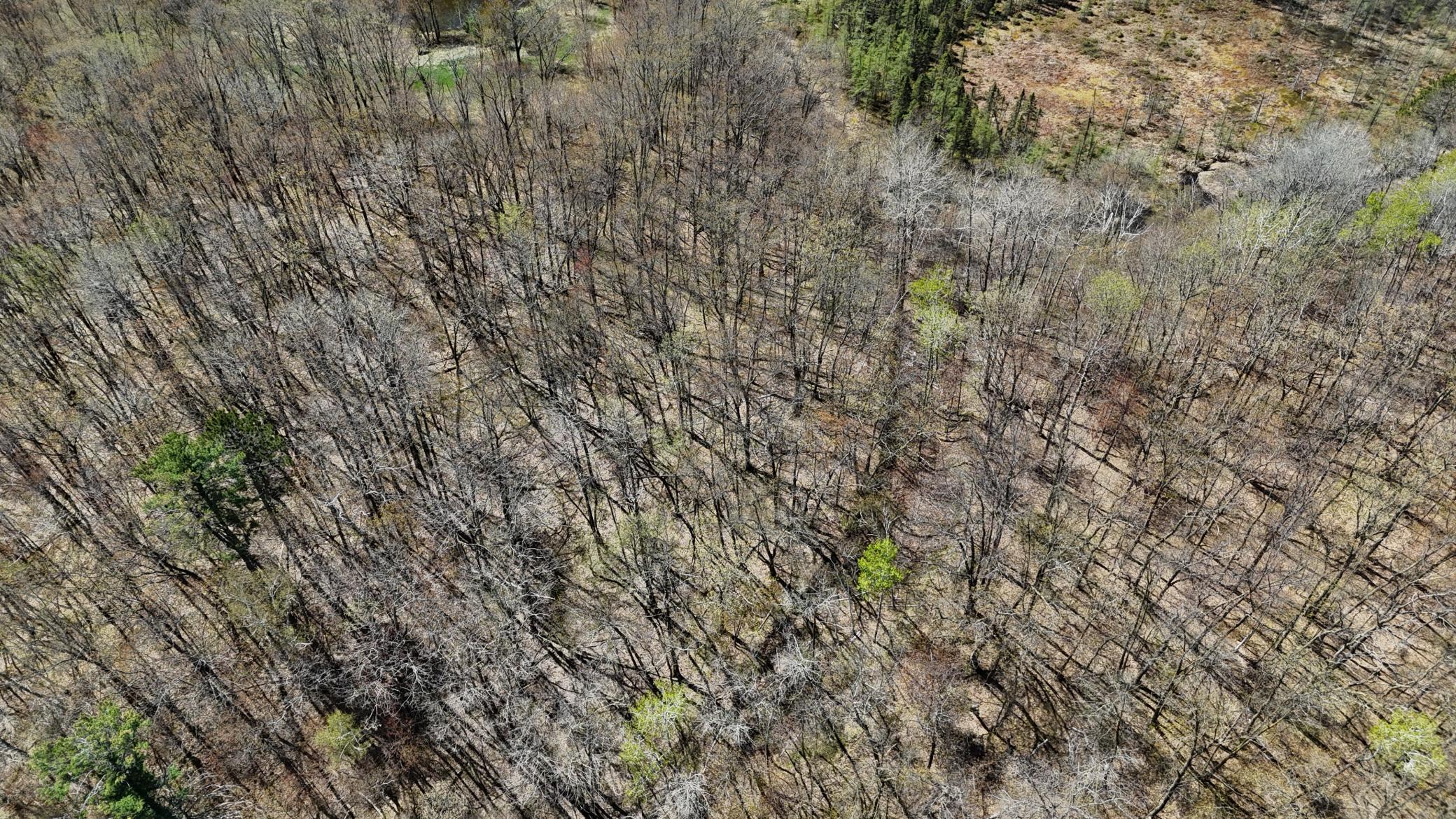 DJI_20260513135438_0075_D.JPG