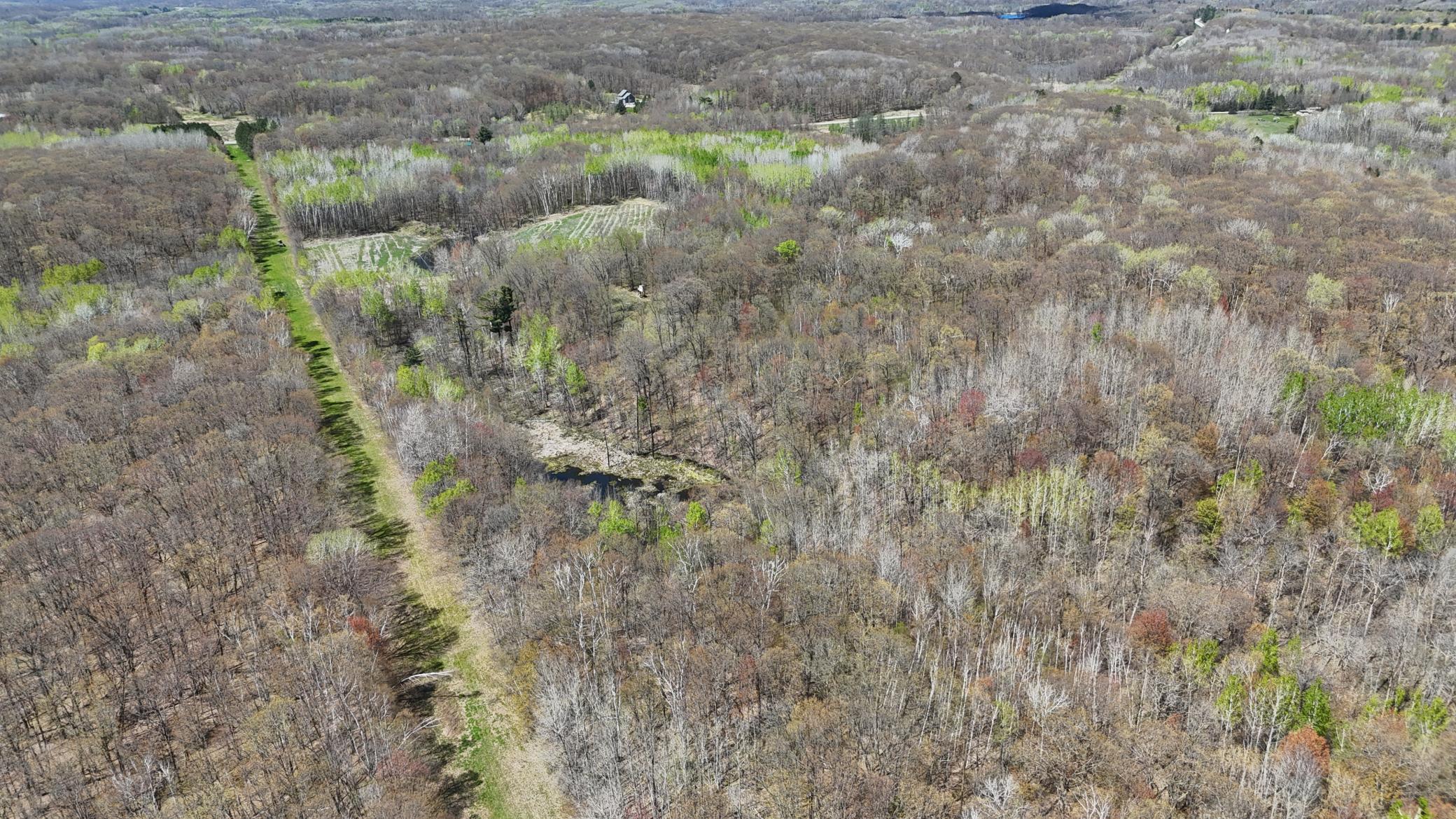 DJI_20260513135745_0081_D.JPG