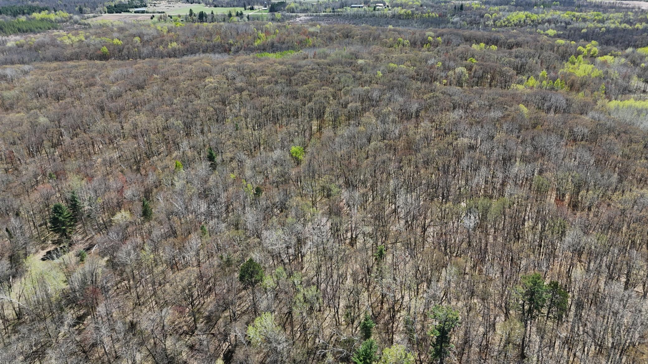 DJI_20260513135423_0073_D.JPG