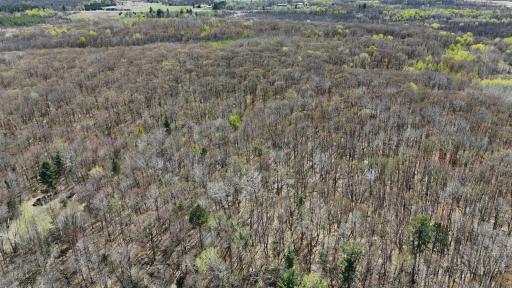 TBD Bear Road, Cushing, MN 56443