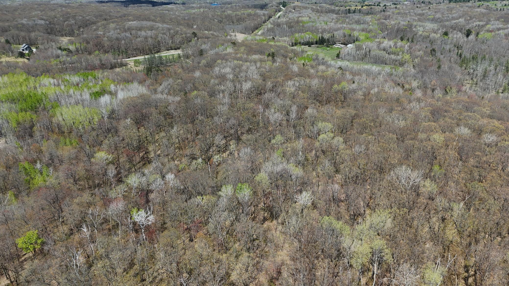 DJI_20260513134745_0063_D.JPG