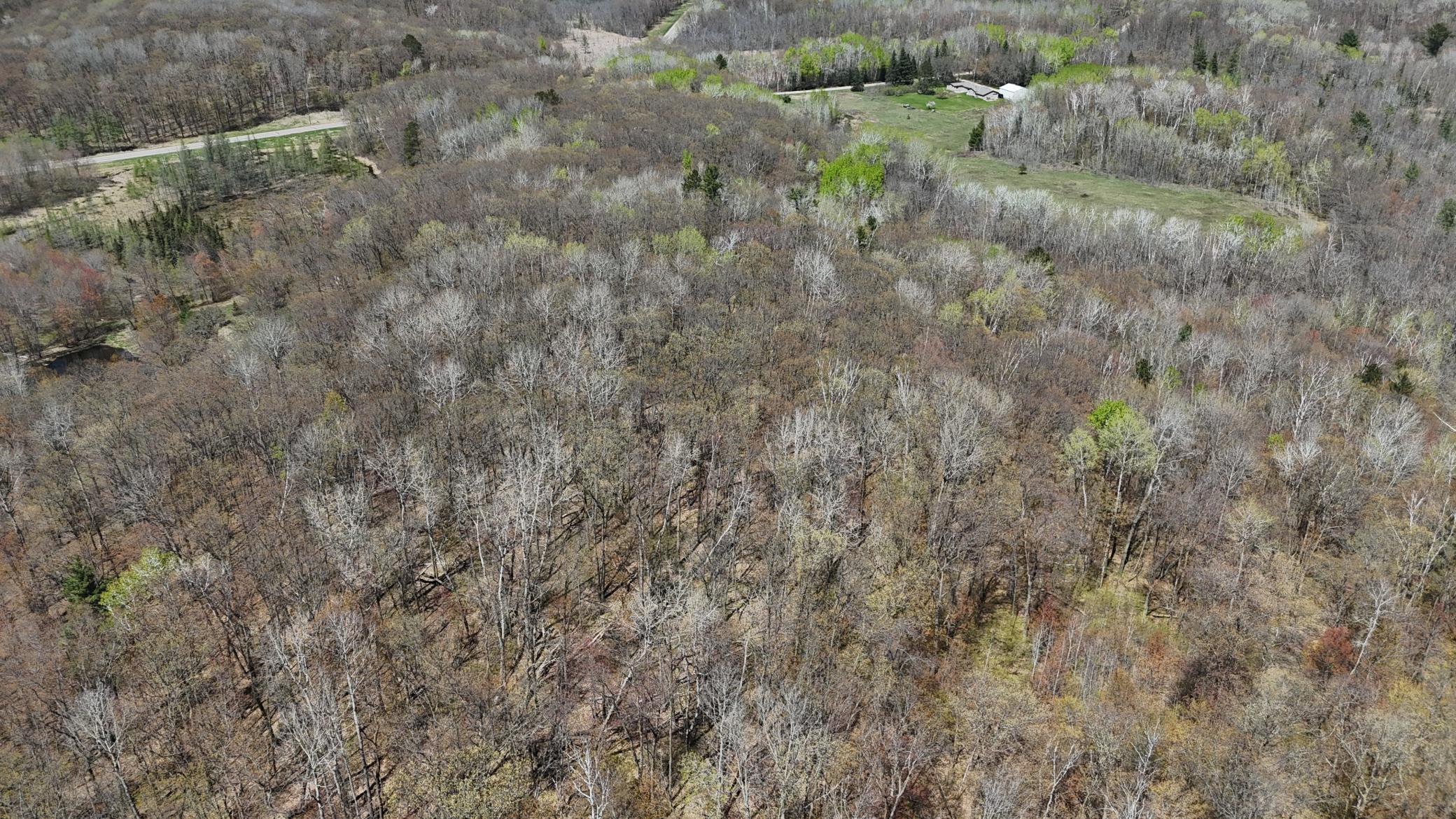 DJI_20260513135844_0082_D.JPG