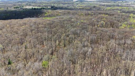 TBD Bear Road, Cushing, MN 56443