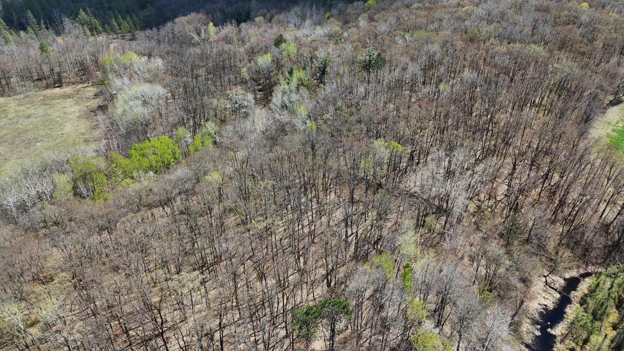 DJI_20260513133848_0046_D.JPG